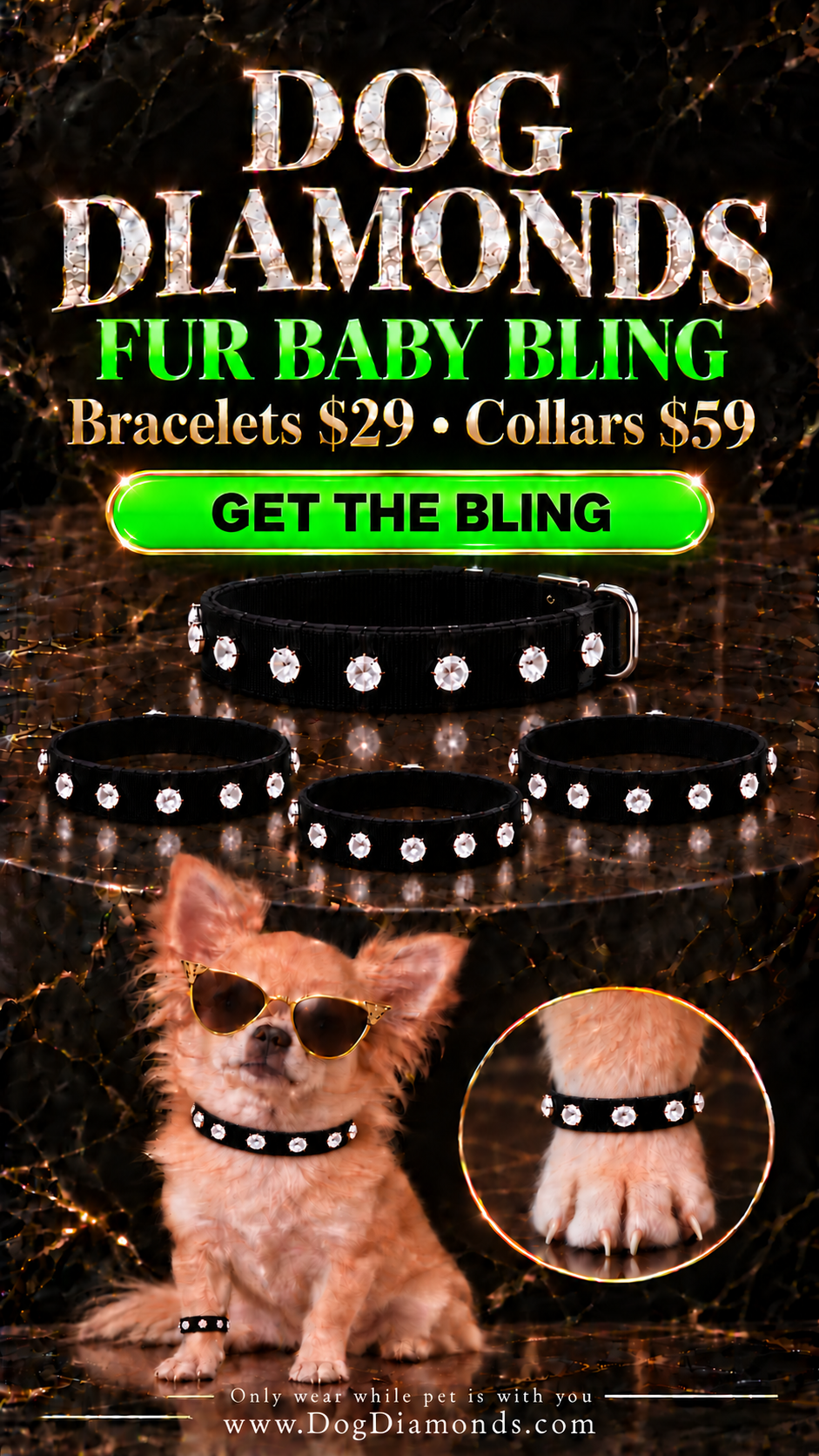 Dog Diamonds Fur Baby Bling collection